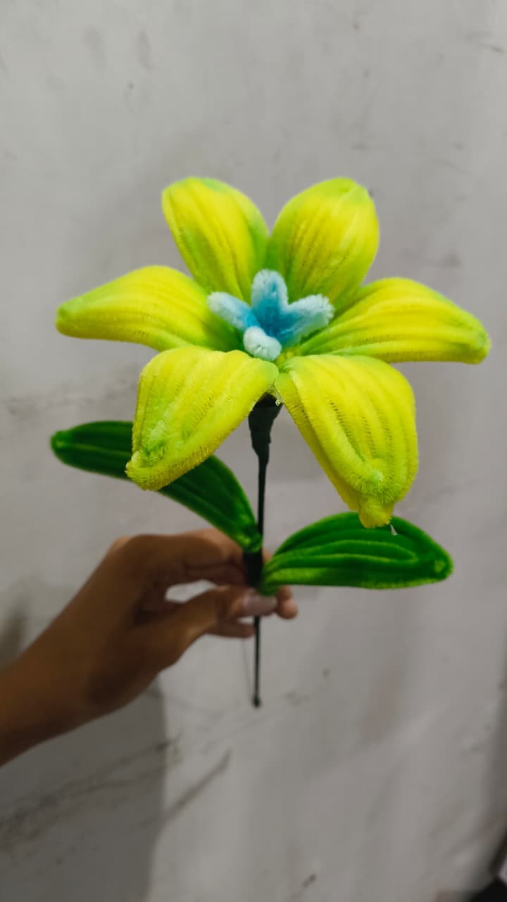 Front view of a yellow lily